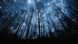 Bajo las estrellas slide