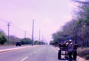 Carromula
