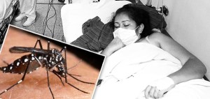 Slide Chikungunya mosquito que infecta