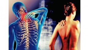 columna cervical