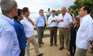 3Vicepresidente (11)