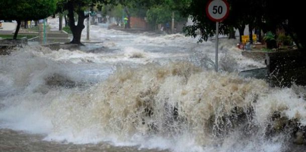 Arroyo bravo