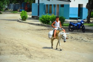 Un niño lleva en burro un bulto de alimento para su casa. La vida regresa al pueblo. Foto: Jorge Sarmiento Figueroa.