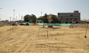 Monumento mariposas amarillas (4)