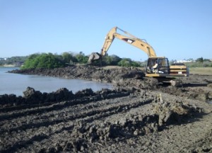 Obras El Cisne (1)