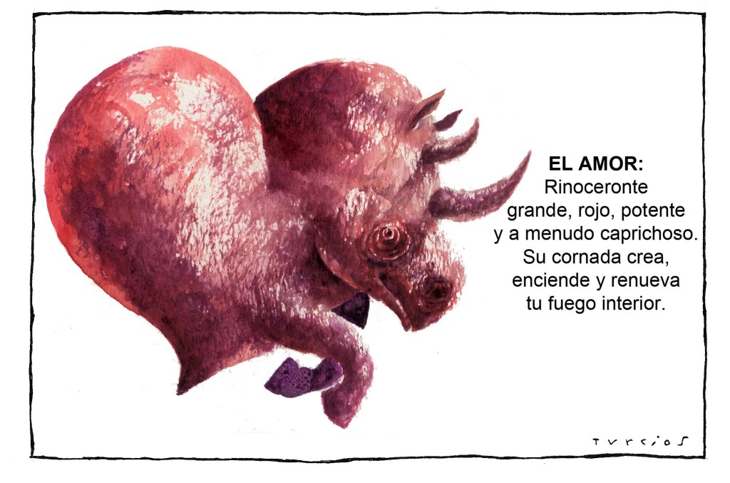 Turcios rino