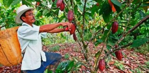 Foto: El Colombiano