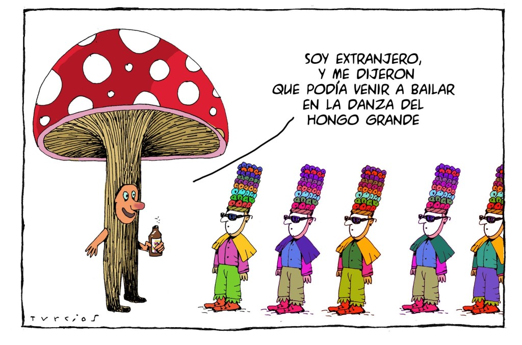 Turcios La danza del hongo grande