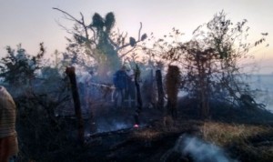 2 Manatí afronta de nuevo una grave crisis por el incendio que acabó con extensos cultivos.