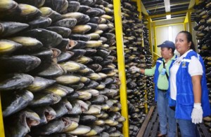 3 Pescado a la lata, como para surtir a todos los hogares barranquilleros y guardar un poquito para la próxima Semana Santa.