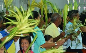 Los niños gozan batiendo sus ramos de palma. Cogollos frescos.Los niños no saben que en esos cogollos los loros hacen su nido.