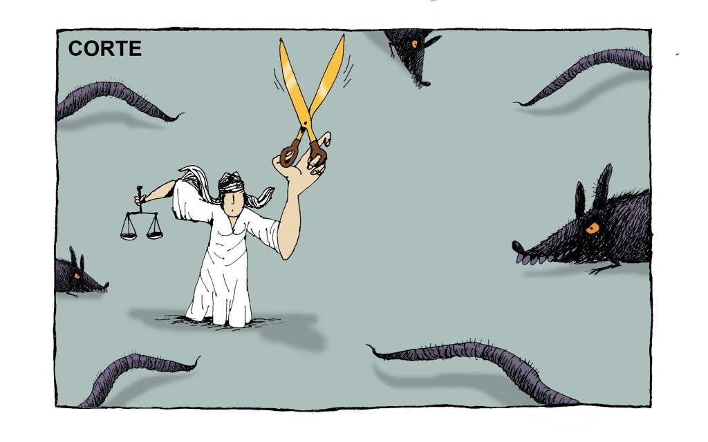 Turcios constitucional