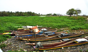 CANOAS (2)