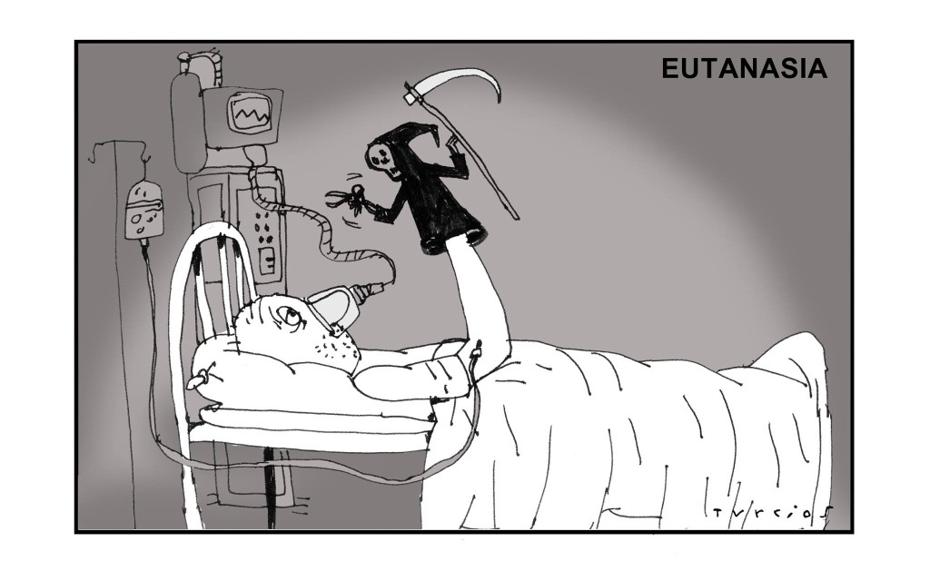 Turcios - eutanasia