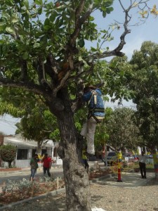Parque El Carmen.