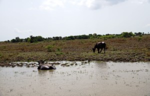 Zona rural de Concordia