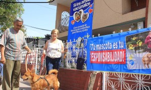 4 Vacunación de perros y gatos