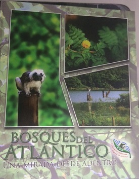 3 portada