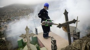  Algunos ayuntamientos decidieron reorientar recursos a la lucha contra el dengue y el zika.