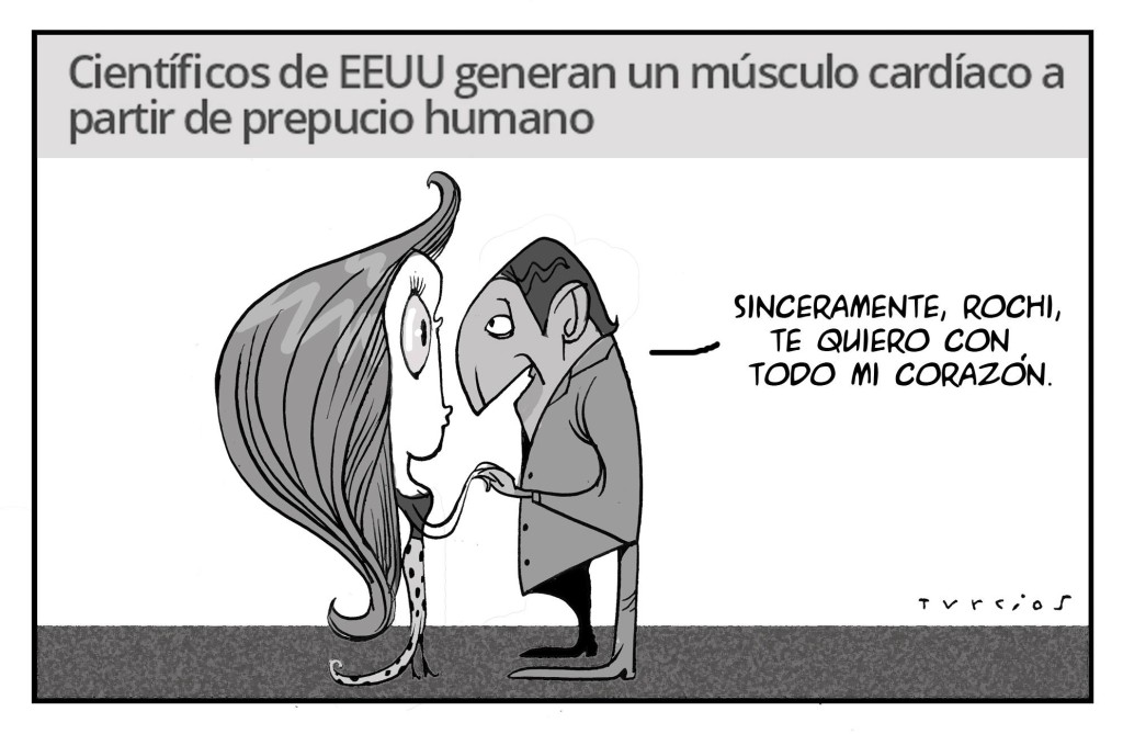 Turcios - prepucio