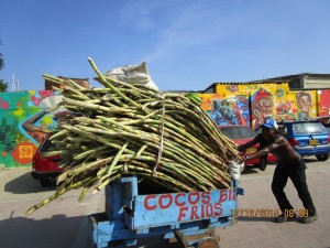 Rocio Aristizabal Foto