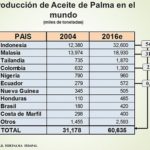 6 diapositiva5-05dfd7c0b0