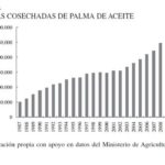 7 de junio Gráfica3