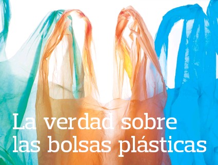 4 esta es la verdad sobre las bolsas