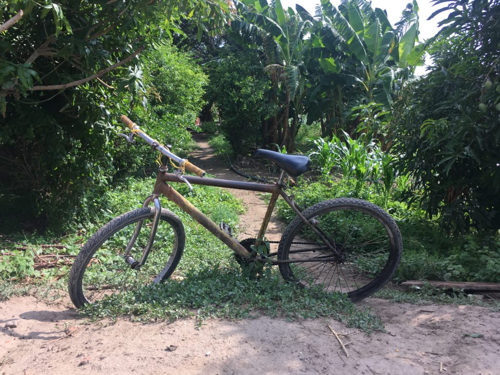 bicicleta