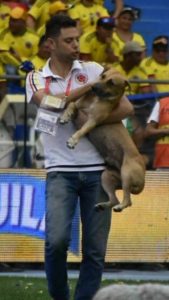 Káiser es atrapado por un auxiliar de la logistica