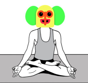 marimonda yoga flor de loto