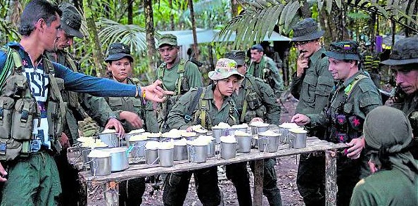 6 Las Farc en algunas de las zonas