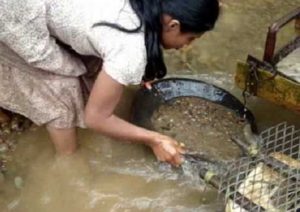 4 sacando oro en forma artesal