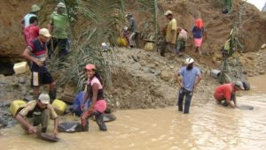 5 todos detrás del estiercol del diablo
